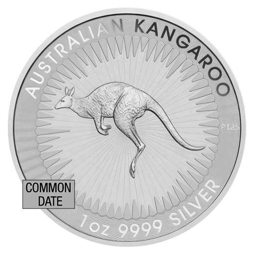 1 oz Australian Silver Kangaroo Coin (Common Date)